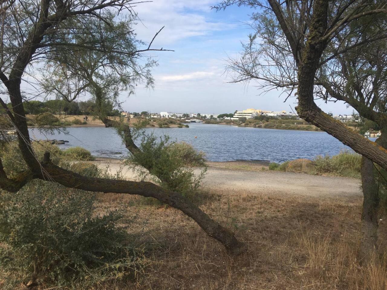 Appartement 4/6 Personnes Plain Pied - 5Min Plage - Piscine En Face Agde Buitenkant foto